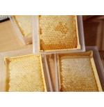 Miel en rayon (printemps)
