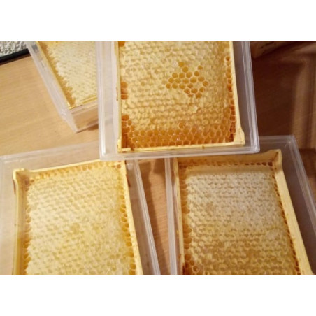 Miel en rayon (fleurs d'été)