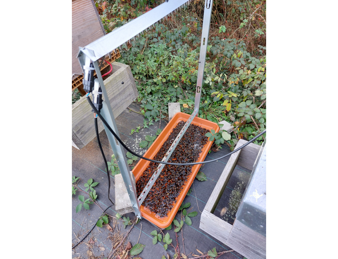 Harpe pour Frelon Asiatique